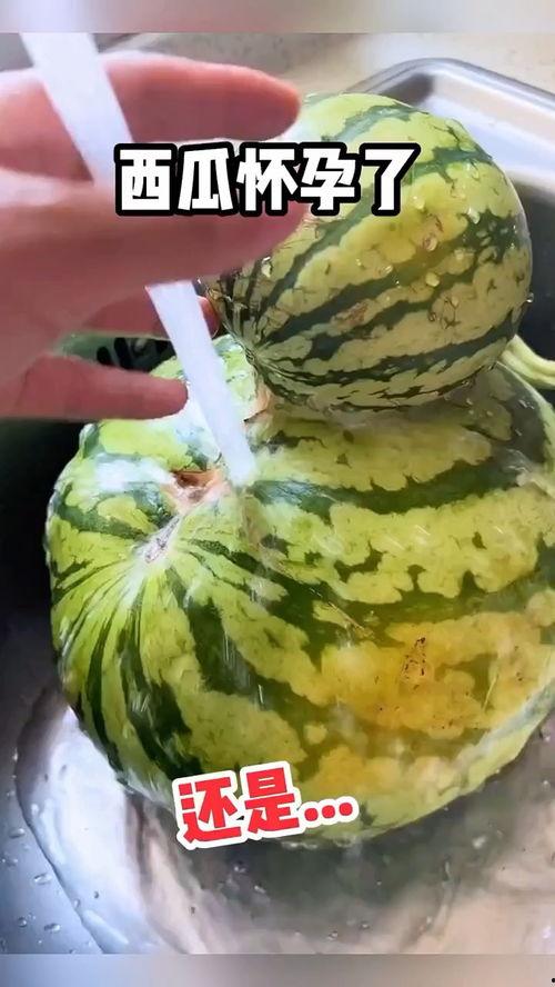 国际搞笑吃瓜,笑料横飞，欢乐无限