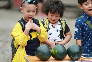 吃瓜萌娃图文图片,萌态十足，萌化你的心