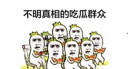 吃瓜群众吃货家族小说
