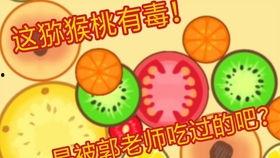 吃瓜游戏郭老师,揭秘娱乐圈背后的真实故事