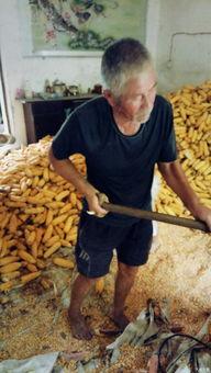 在娘家吃瓜,揭秘家庭温馨时光