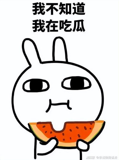 瓜瓜吃瓜怎么读,趣味解读网络流行语