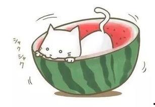 吃瓜谈球,揭秘足球圈那些不为人知的幕后故事