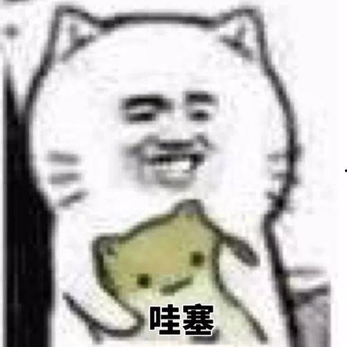 吃瓜直播非常哇塞,揭秘网红界的“非常哇塞”现象