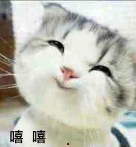 吃瓜等不到明天,揭秘娱乐圈幕后故事，等不到明天的真相揭晓