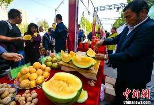 吃瓜盟主谈客家,客家美食的独特魅力