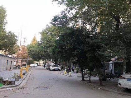 文安最新小区吃瓜,邻里纠纷引热议，吃瓜群众围观不停