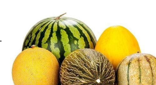 总发吃瓜,揭秘娱乐圈幕后故事