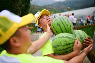 王楼吃瓜,揭秘娱乐圈背后的那些事儿