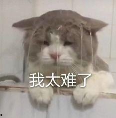 内娱合集吃瓜,揭秘娱乐圈那些鲜为人知的吃瓜瞬间