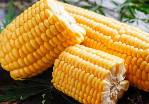 吃瓜人吃玉米,一场味蕾与视觉的双重盛宴