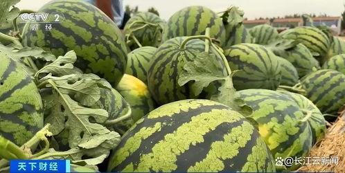 带你吃瓜 怎么拍,揭秘短视频拍摄技巧