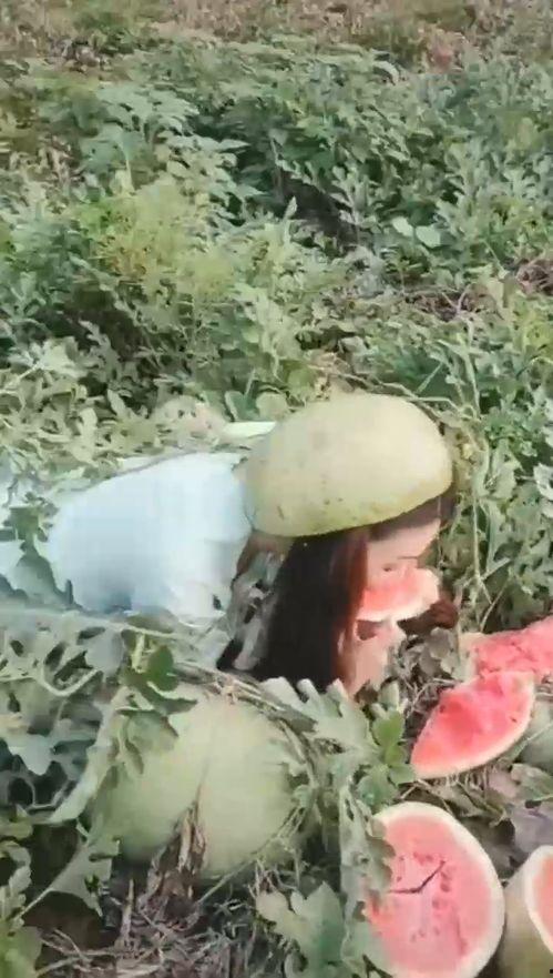 吃瓜漂亮小姐姐,揭秘吃瓜小姐姐的魅力瞬间