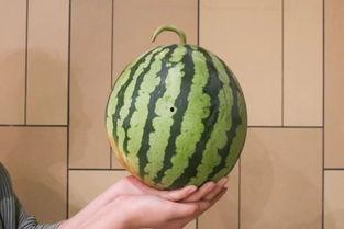 度度吃瓜,揭秘娱乐圈那些不为人知的幕后故事