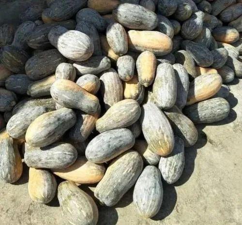 农户家里吃瓜,农户家的甜蜜生活画卷