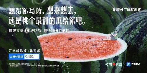 吃瓜美少女文案,吃瓜美少女的甜蜜生活揭秘