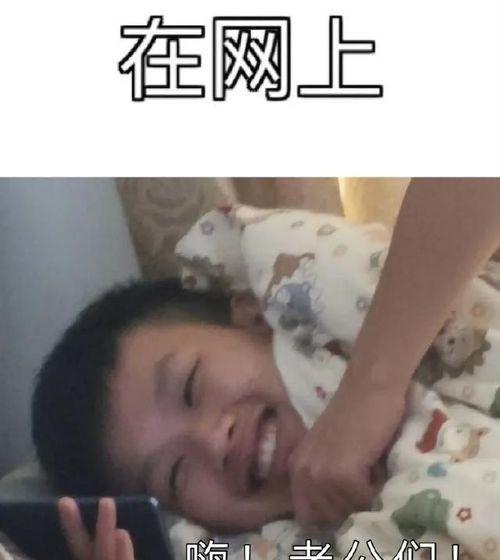 吃瓜亲人事件,揭秘网络舆论背后的真相与反思
