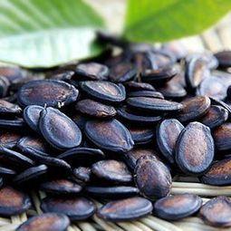 吃瓜子的瓜是什么瓜种,吃瓜子的“瓜”竟是这种瓜种