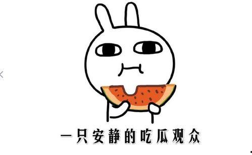 网上说吃瓜吃瓜什么意思,揭秘“吃瓜吃瓜”网络热词背后的趣味与内涵